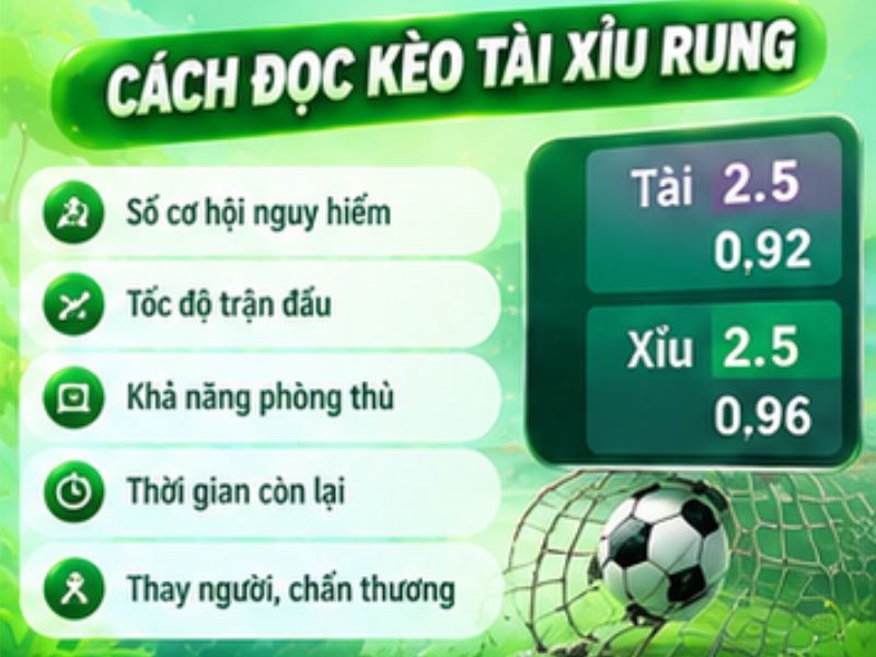 Cách Đọc Kèo Tài Xỉu Rung